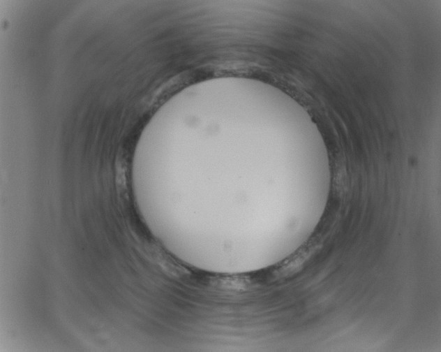 X0000068770282200604281025