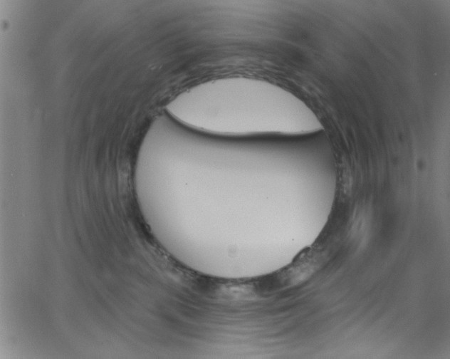 X0000068770283200604281025