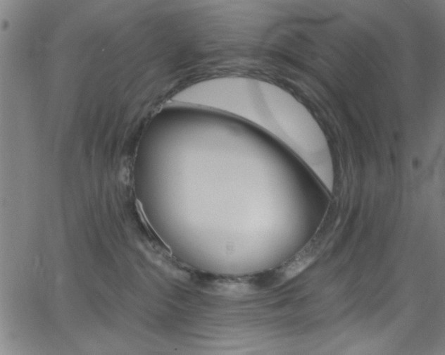 X0000068770284200604281026