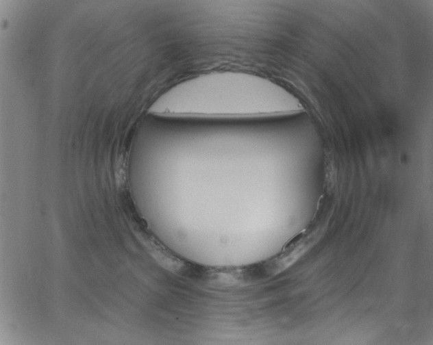 X0000068770285200604281026