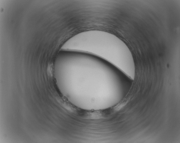 X0000068770286200604281026