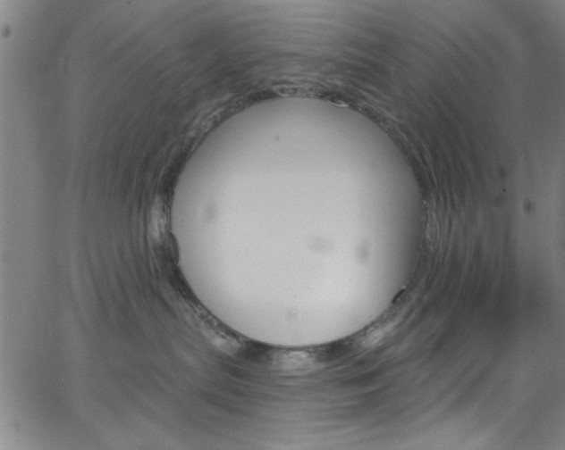 X0000068770287200604281026