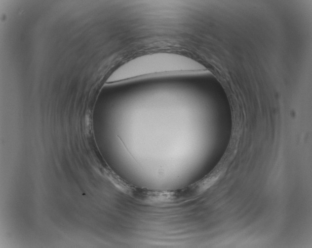 X0000068770288200604281026