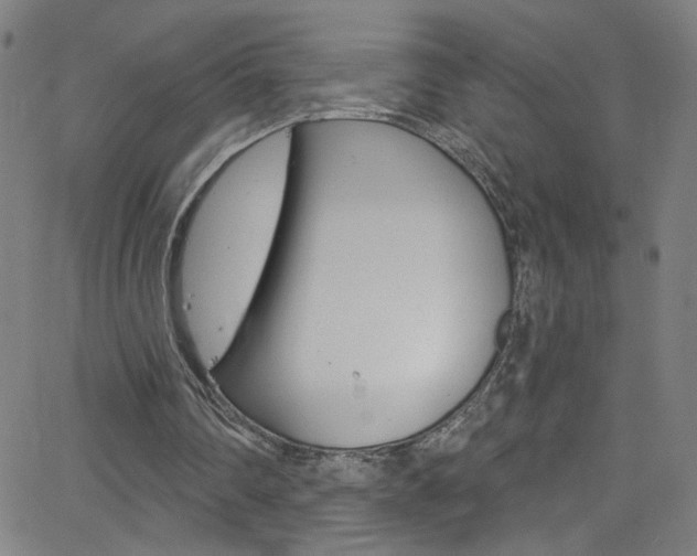 X0000068770290200604281025