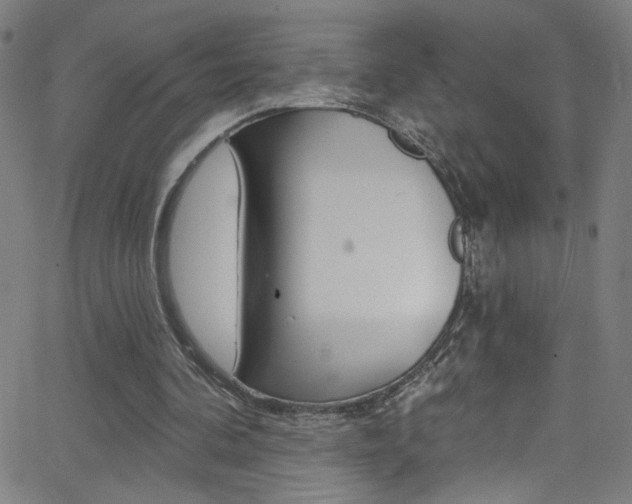 X0000068770292200604281025