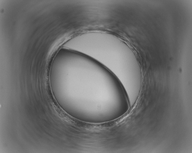 X0000068770293200604281025