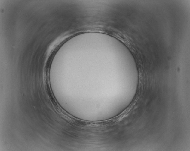 X0000068770294200604281025