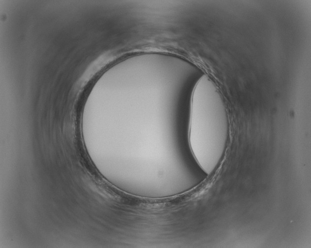 X0000068770295200604281025