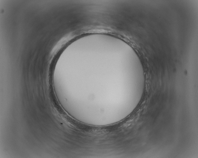 X0000068770296200604281025