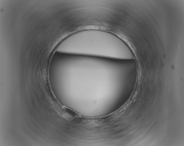 X0000068770297200604281025