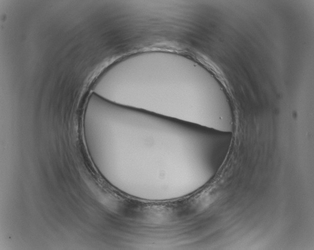 X0000068770298200604281025