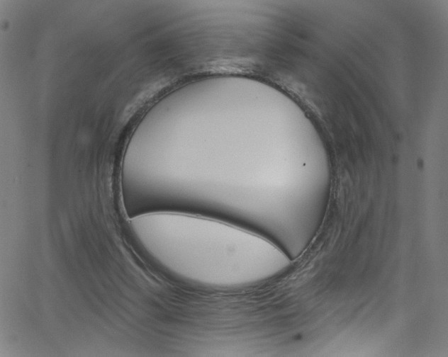 X0000068770299200604281025