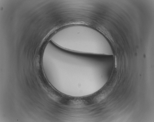 X0000068770300200604281025