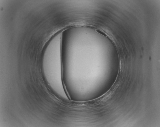 X0000068770301200604281025