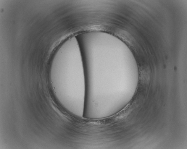 X0000068770302200604281025