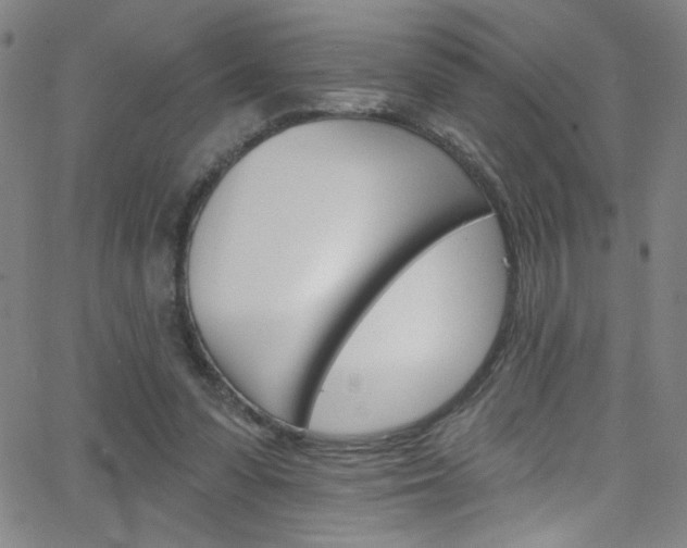 X0000068770303200604281024