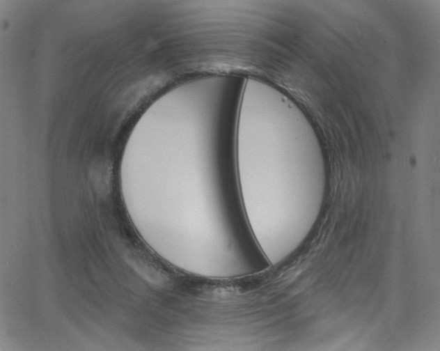 X0000068770304200604281024