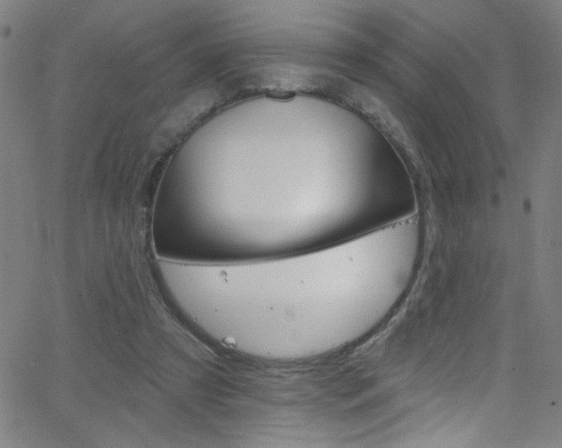 X0000068770305200604281024