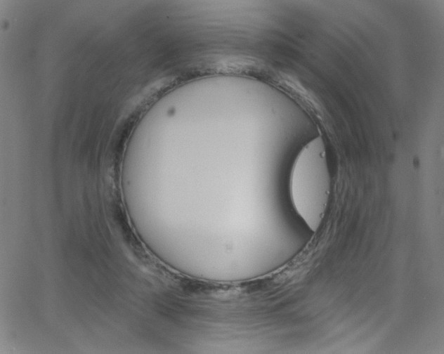 X0000068770306200604281024