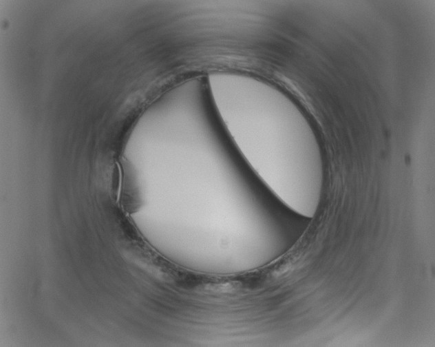 X0000068770307200604281024