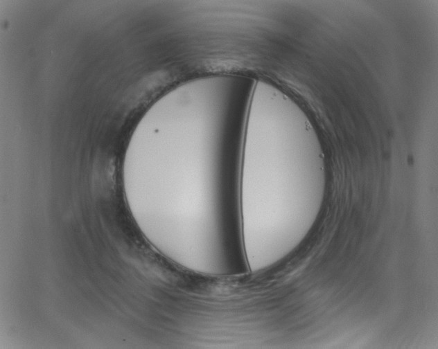 X0000068770308200604281024