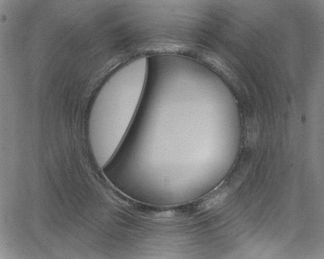 X0000068770309200604281024