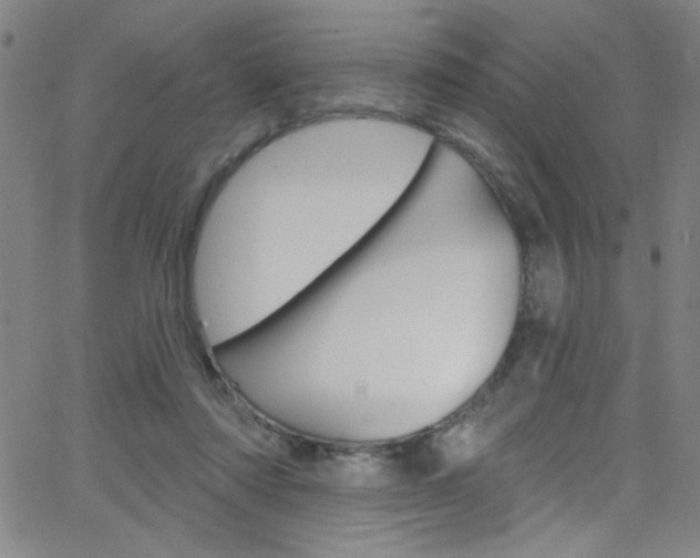 X0000068770310200604281024