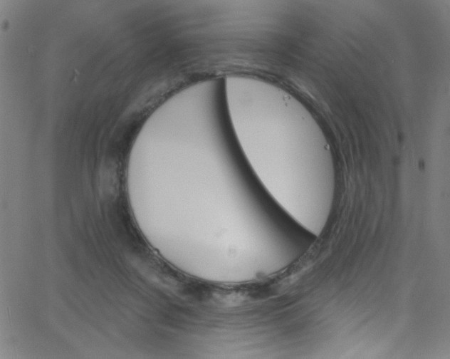 X0000068770311200604281024