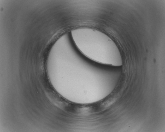 X0000068770312200604281024