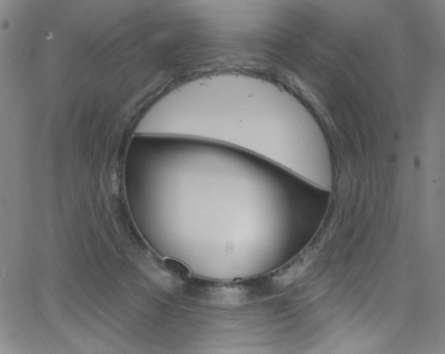 X0000068770313200604281024