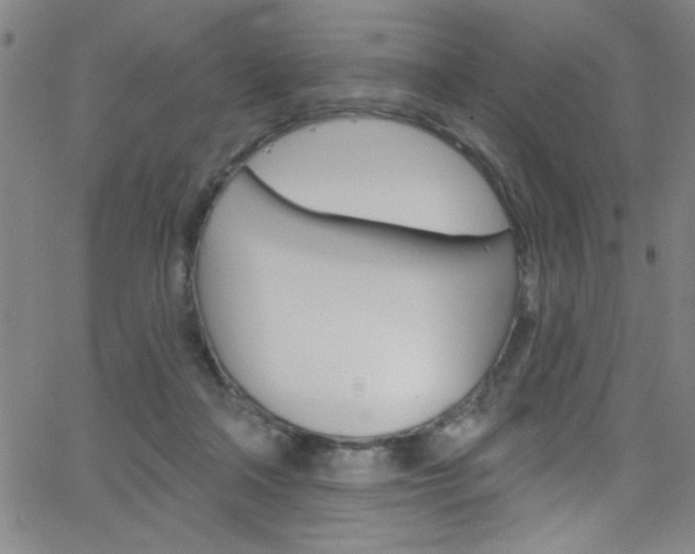 X0000068770314200604281024