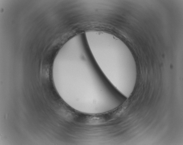 X0000068770315200604281024