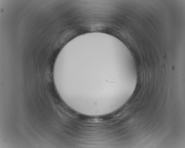 X0000068770316200604281024