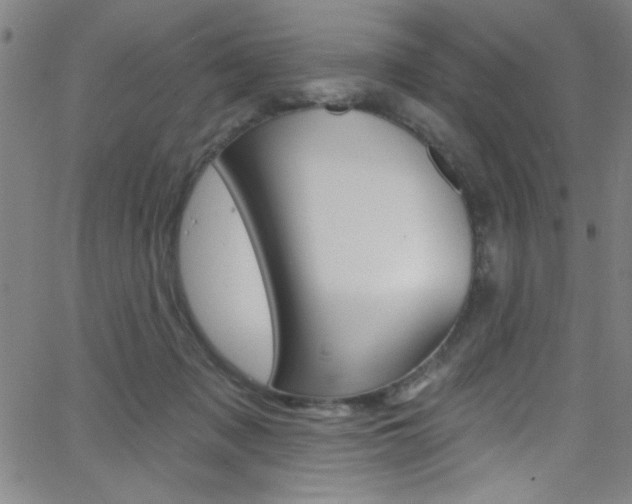 X0000068770317200604281024