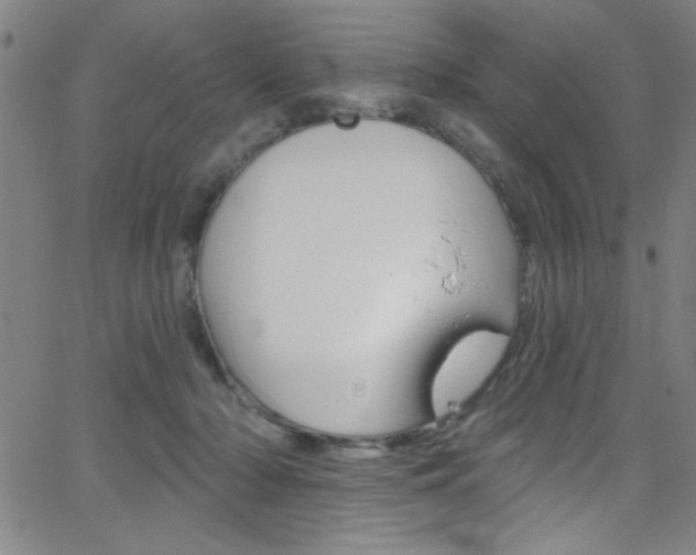 X0000068770318200604281024