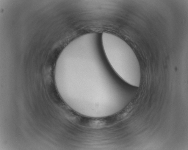 X0000068770319200604281024