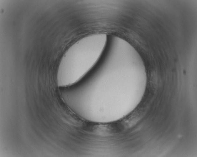 X0000068770320200604281024