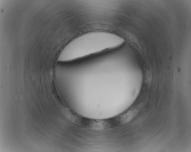 X0000068770321200604281024