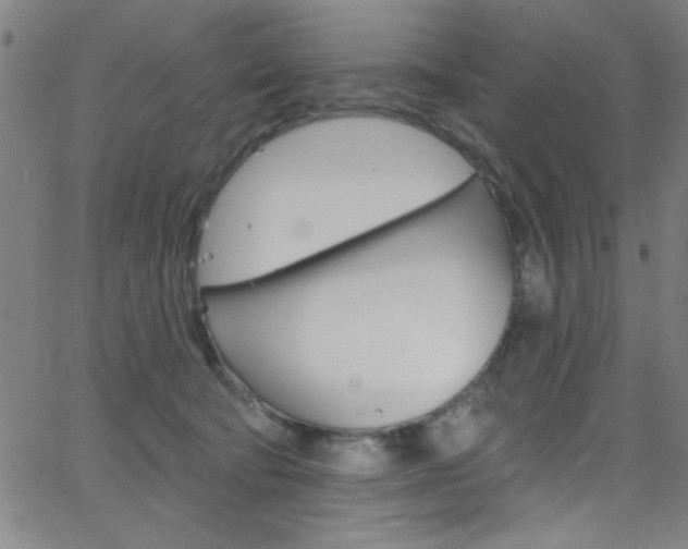 X0000068770322200604281024