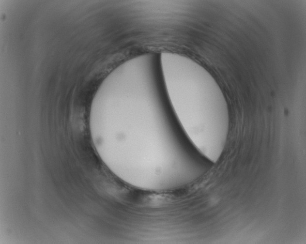 X0000068770323200604281024