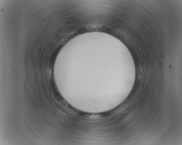 X0000068770324200604281024