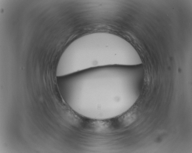 X0000068770326200604281024