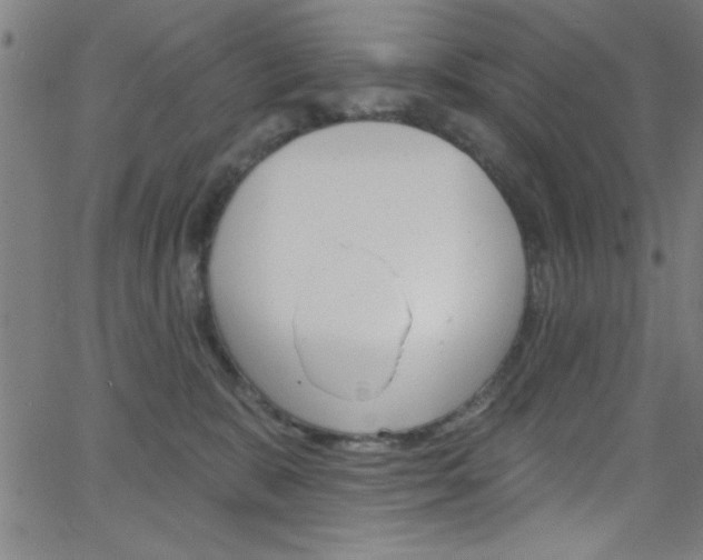 X0000068770327200604281024