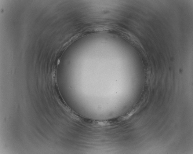 X0000068770329200604281024