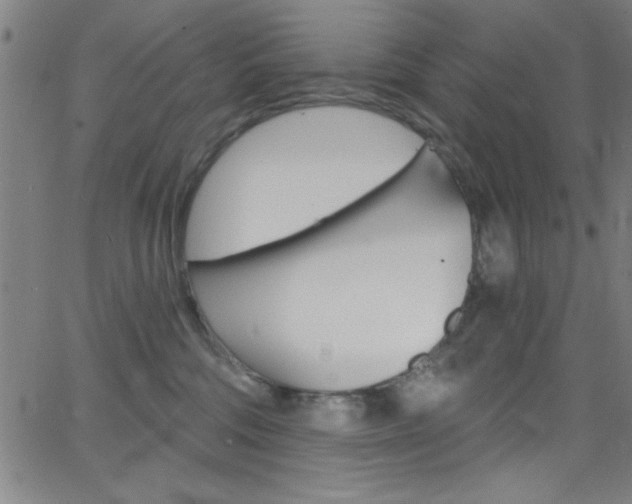 X0000068770330200604281024