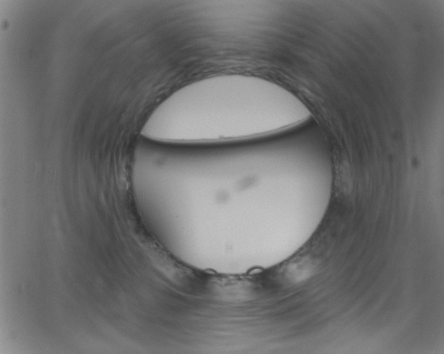 X0000068770331200604281024