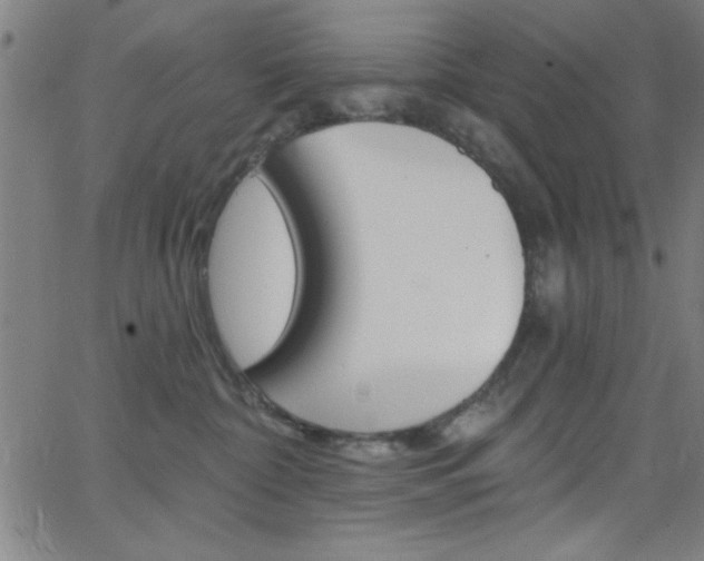 X0000068770332200604281024