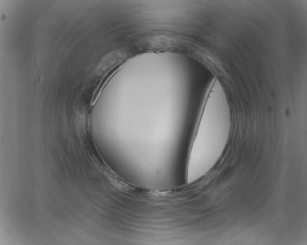 X0000068770333200604281024