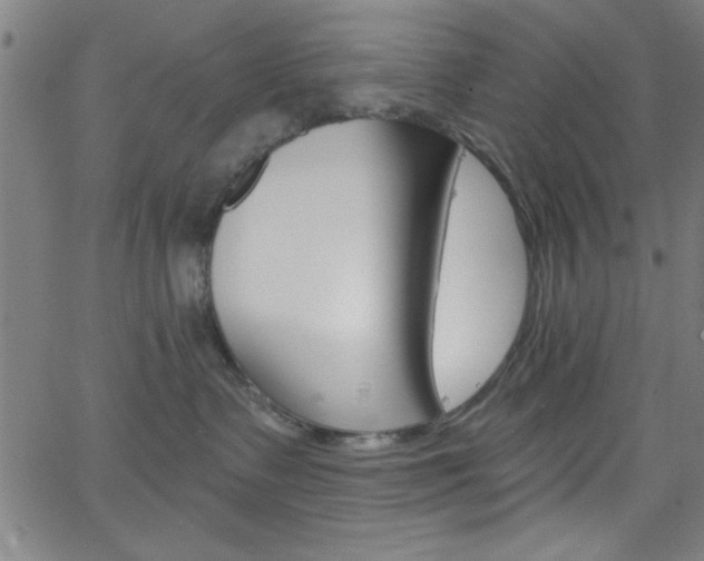 X0000068770335200604281024