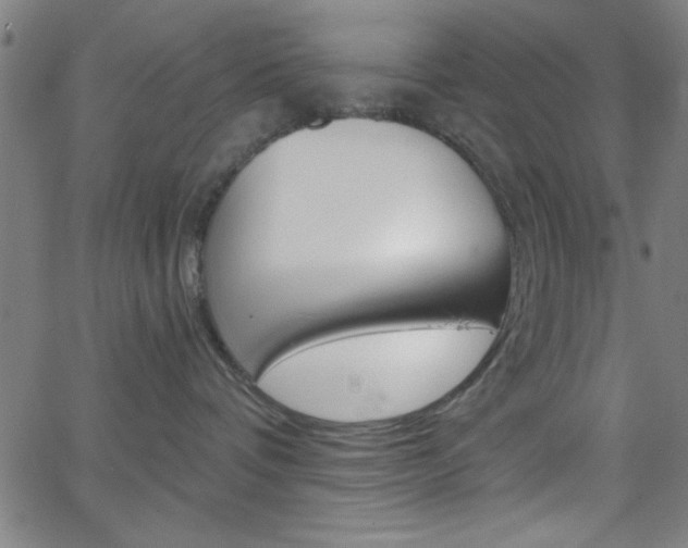 X0000068770336200604281024